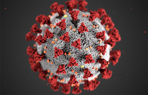 Image Example for disease