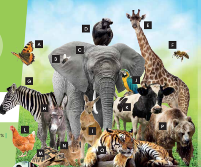 Tiếng Anh 7 Unit 3 3.1 0 1