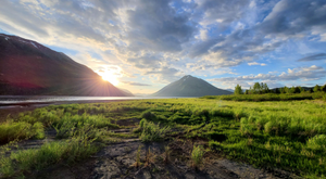 Image Example for nature