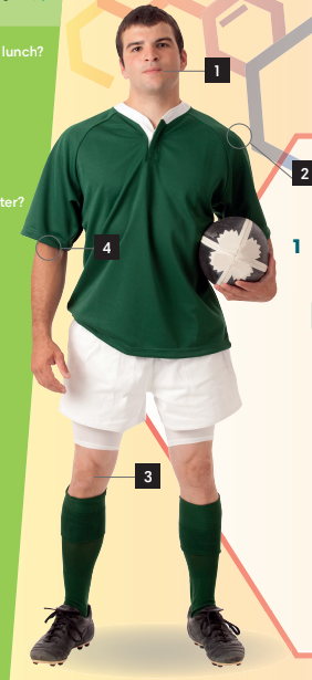 Tiếng Anh 7 Unit 4 4.1 0 1