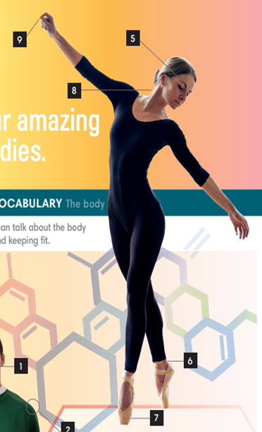 Tiếng Anh 7 Unit 4 4.1 0 2