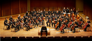 Image Example for orchestra