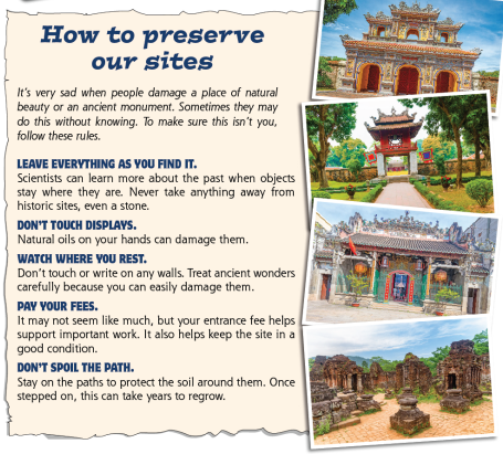 Tiếng Anh 7 Unit 5 5. CLIL 0 1