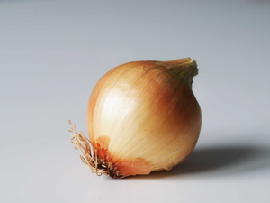 Image Example for onion
