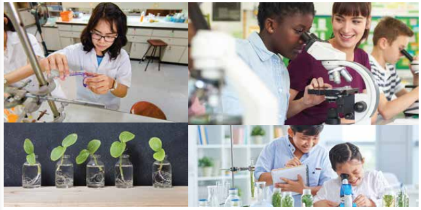 Tiếng Anh 7 Unit 6 6.6 0 1