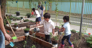 Image Example for school garden