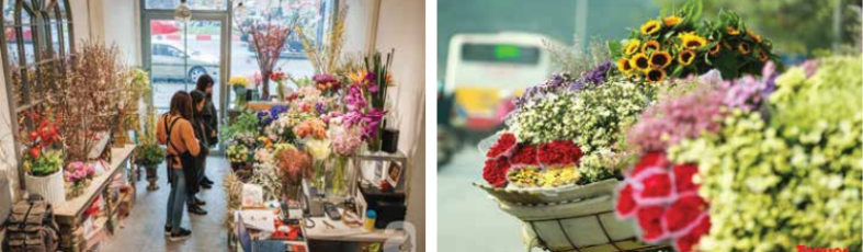 Tiếng Anh 7 Unit 7 7.2 0 1