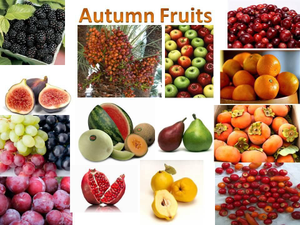 Image Example for autumn fruits