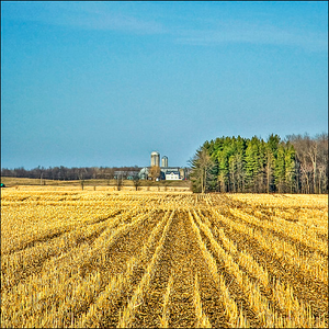 Image Example for crop