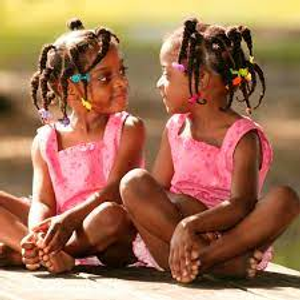 Image Example for twins