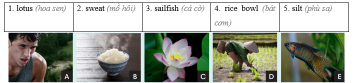 Tiếng Anh 8 CLIL 3 Literature 1 1