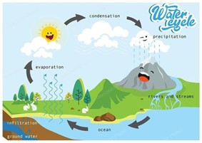 Tiếng Anh 8 CLIL Geology: The water cycle 4 1
