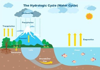 Tiếng Anh 8 CLIL Geology: The water cycle 4 2