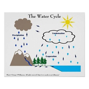 Tiếng Anh 8 CLIL Geology: The water cycle 4 3