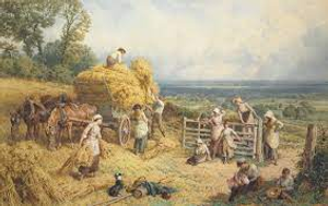 Image Example for harvest time