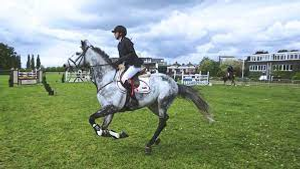 Image Example for horse riding