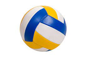 Image Example for volleyball