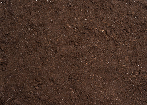 Image Example for soil