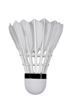 Image Example for shuttlecock