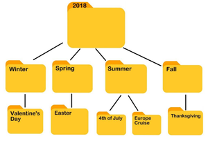 Image Example for organize