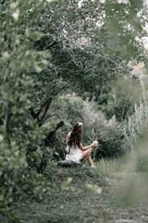 Image Example for nature lover