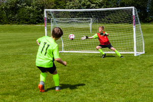 Image Example for score