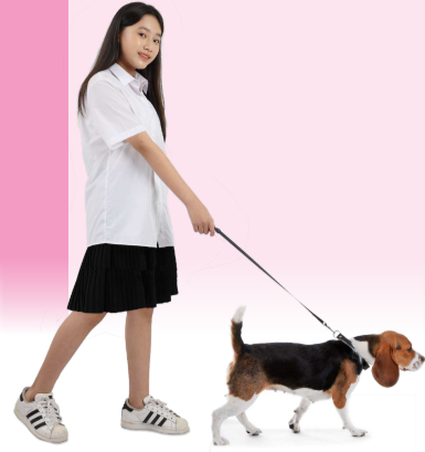 Tiếng Anh 8 Unit 0 0.2 Introducing Lan 0 1