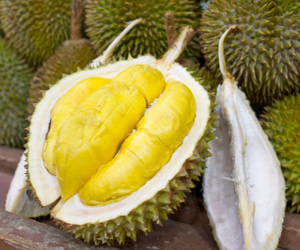 Image Example for durian