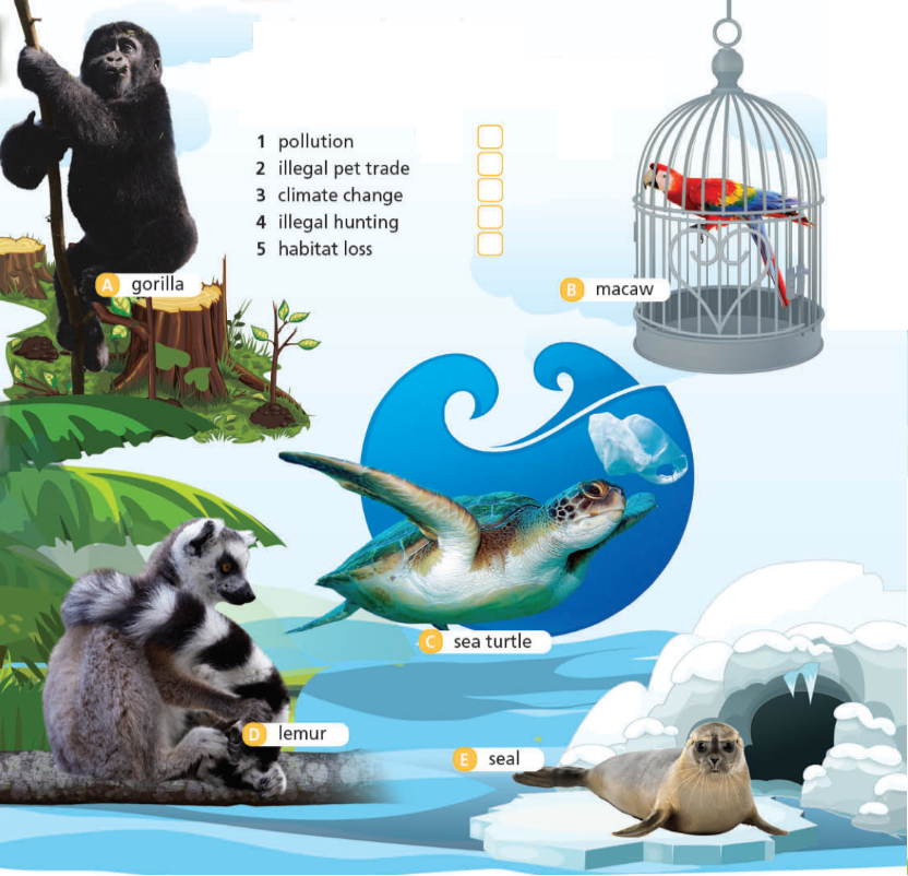 Tiếng Anh 8 Unit 3 3c. Vocabulary 0 1