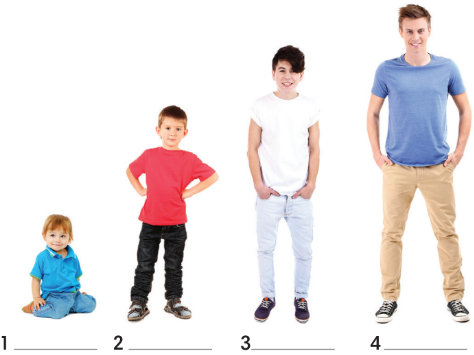 Tiếng Anh 8 Unit 4 4.1 Vocabulary 0 1