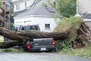 Image Example for damage