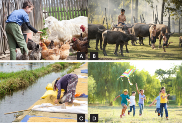 Tiếng Anh 8 Unit 5 5.1 Vocabulary 0 1