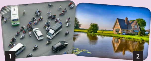 Tiếng Anh 8 Unit 5 5.3 Reading and Vocabulary 4 1