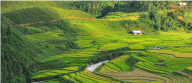 Tiếng Anh 8 Unit 7 7.6 Speaking 0 1