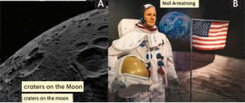 Tiếng Anh 8 Unit 9 9.3 Reading and Vocabulary 0 1