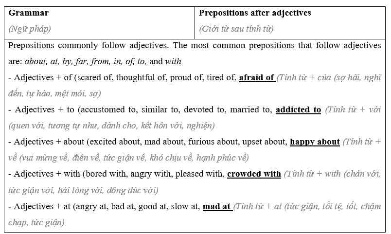 Tiếng Anh 8 Unit 9 9.4 Grammar 1 1