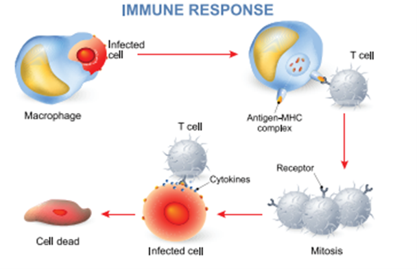 Tiếng Anh 9 CLIL 5: Science 3 1