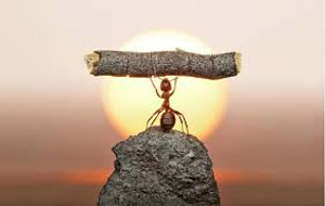 Image Example for attempt