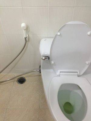 Image Example for hygienic latrine