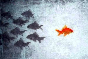 Image Example for in contrast