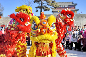 Image Example for lion dance