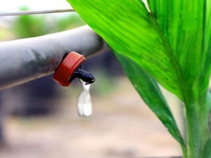 Image Example for drip down