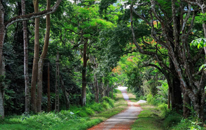 Image Example for national park