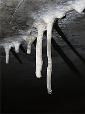 Image Example for stalactite