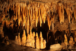 Image Example for stalagmite