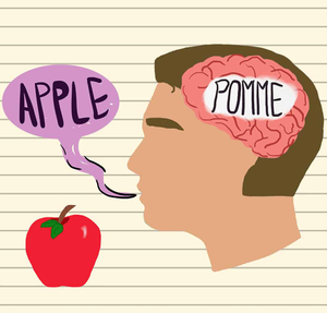 Image Example for bilingual