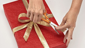 Image Example for wrap present