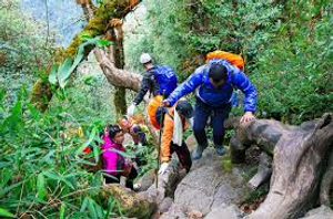 Image Example for adventure