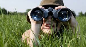 Image Example for observe