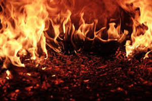 Image Example for burn